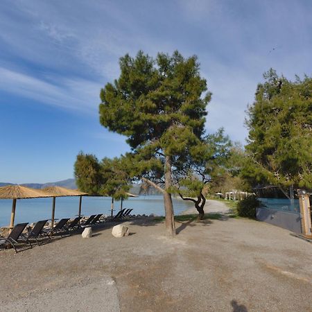 Kalafatis Beach Home إتِيا المظهر الخارجي الصورة