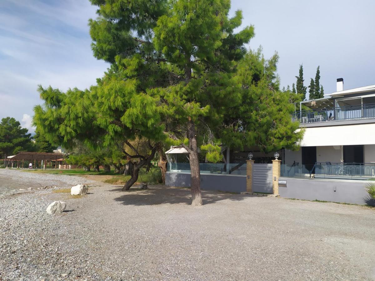 Kalafatis Beach Home إتِيا المظهر الخارجي الصورة